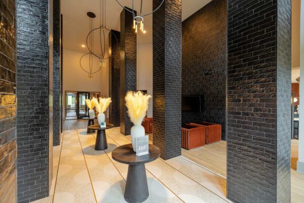 005_LinzHollySprings_ExterAmen_XF